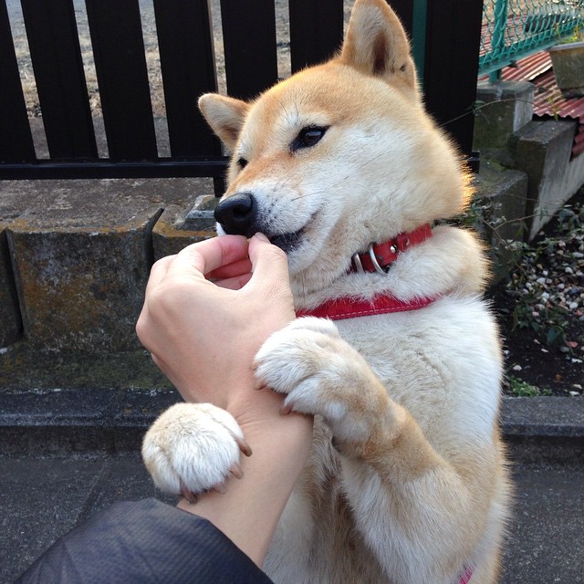 随机意甲战术演变，注重控球与防守结合，意甲战术强在哪里