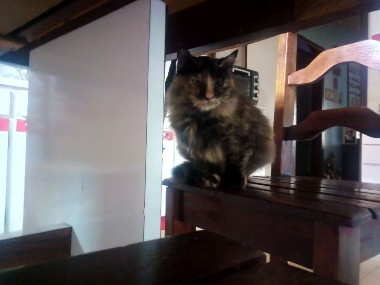 随机比分逆转：北京队在关键时刻掌握主动！，北京单场及时比分