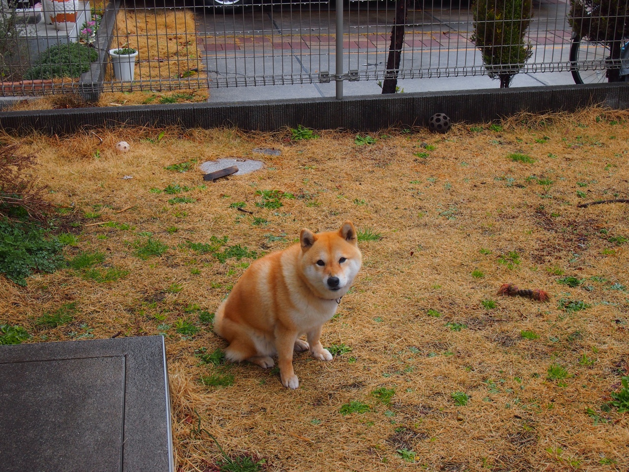 随机潜力新星：那些未来可能成就“超级巨星”的新人，潜力新秀什么意思