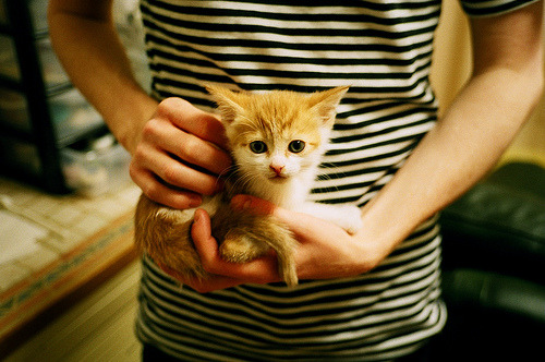 随机皇马引进年轻天才，誓将未来之星带回皇马阵容，皇马老将