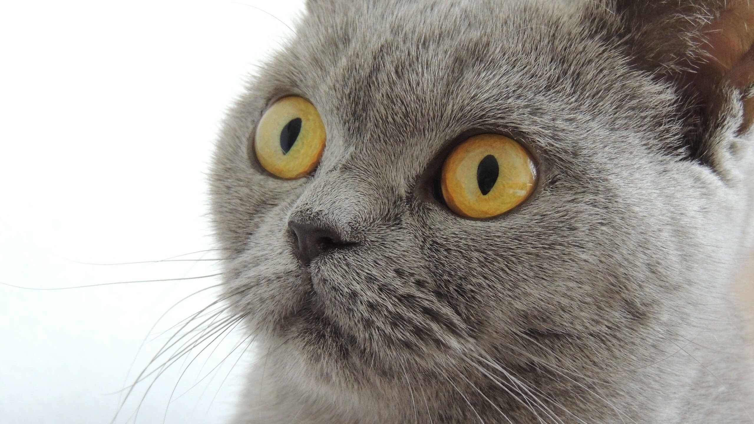 随机篮球场馆升级改造促进多功能利用，篮球场改造实施方案