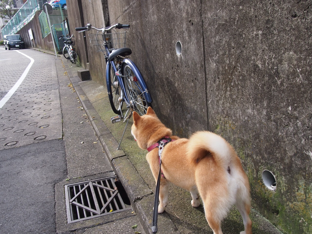 随机英格兰骑手乔治·泰勒在巴黎奥运会三项赛中获得第十一名，创造个人最佳成绩。