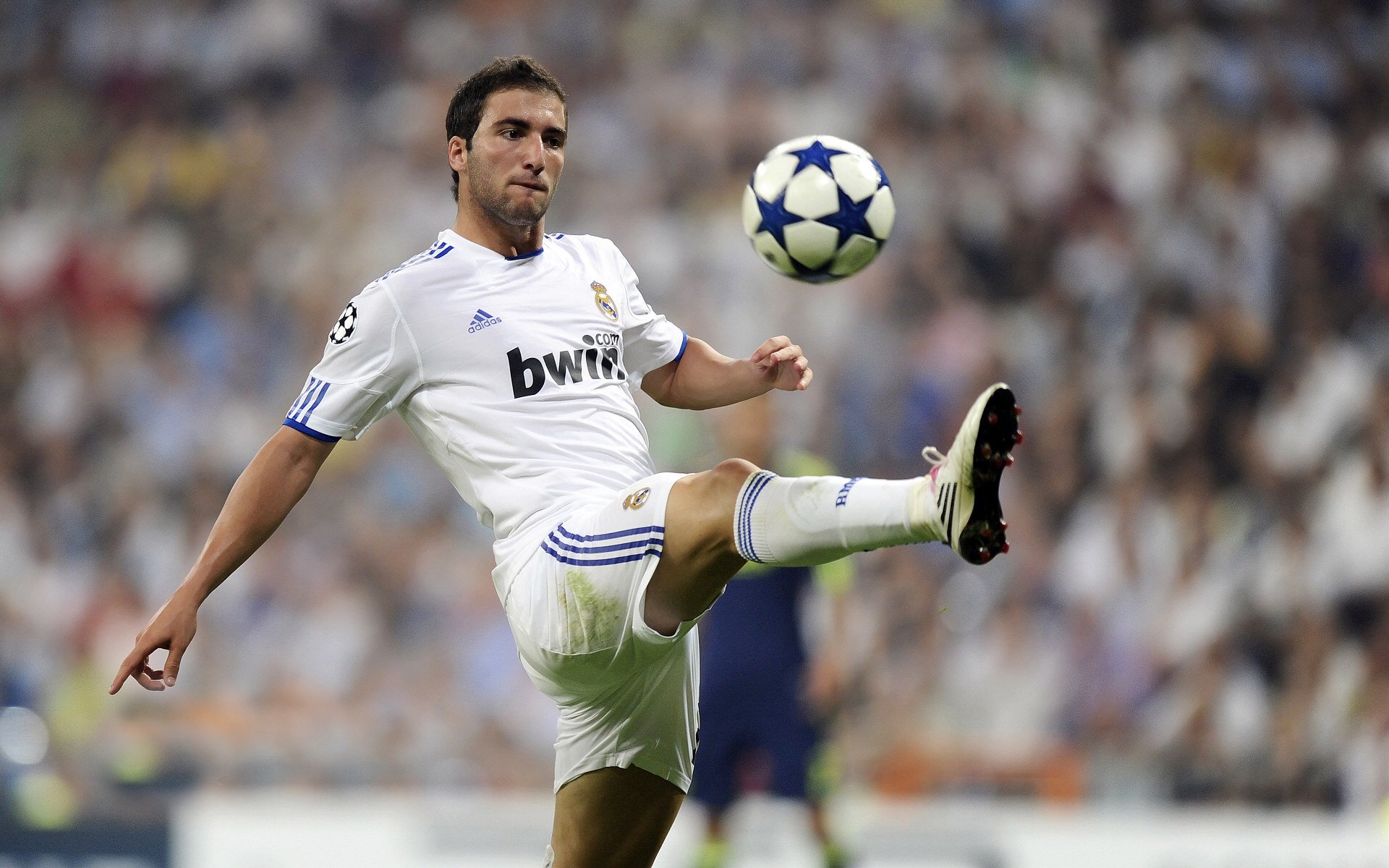 随机足球场上的“巨星”，他们的表现令人惊讶！，踢足球巨星