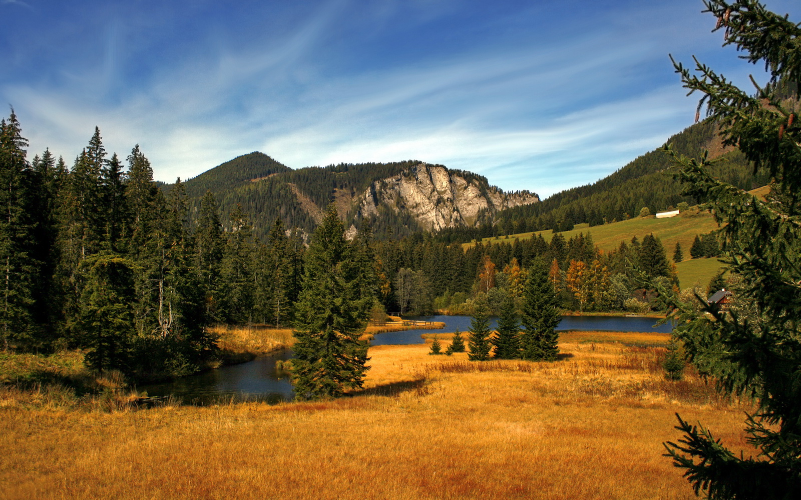 随机中国足球的球员技术提升路径规划，中国足球队训练