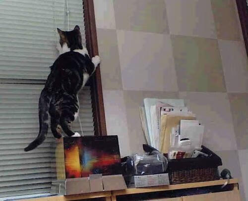 随机丹麦主帅派出强大阵容，准备迎战土耳其，丹麦主帅流泪解释继续比赛决定 向丹麦全体队员致敬