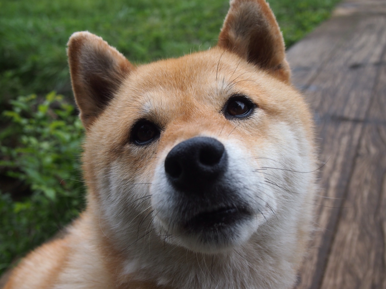 随机奇才球队攻防转换效率明显增强，奇才队球场