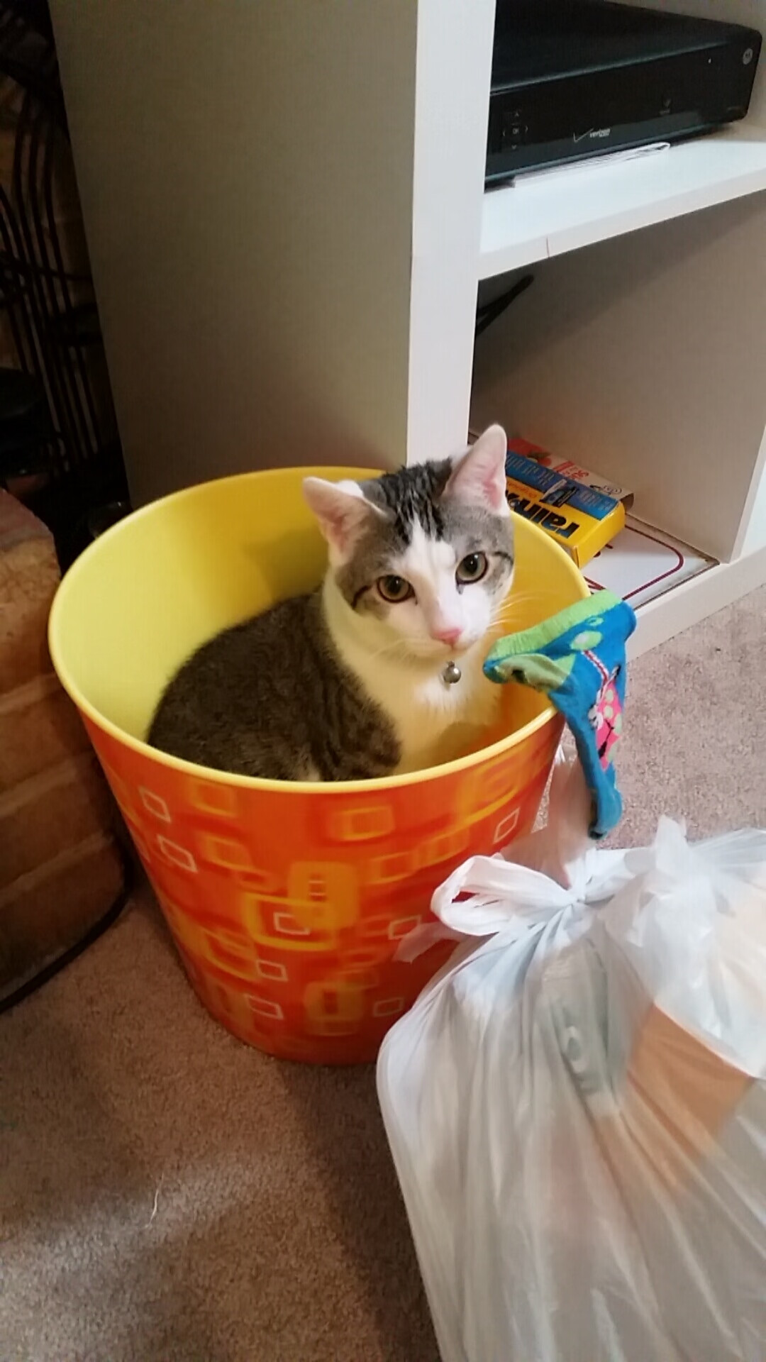 KAIYUNAPP-普拉提教练培训市场潜力巨大，吸引资本关注，普拉提教练培训基地