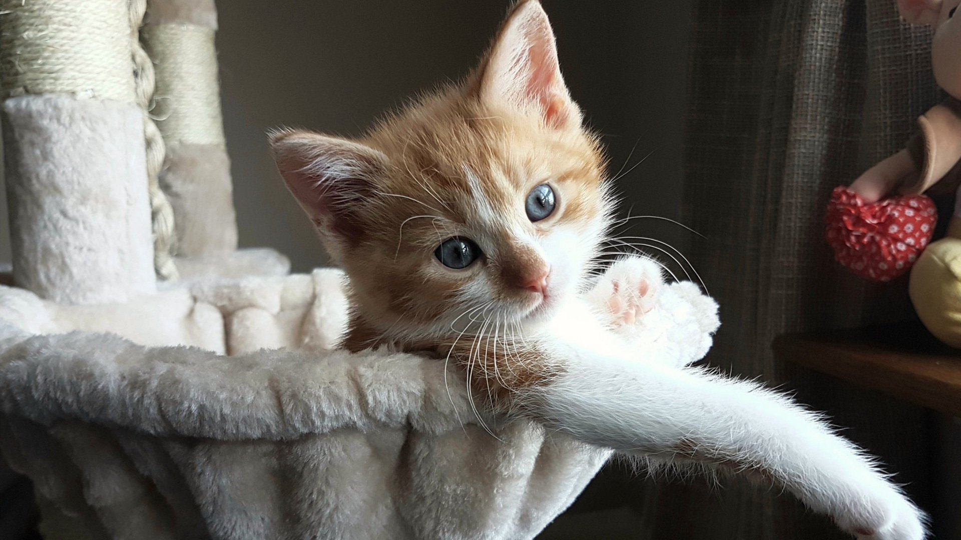 开云网页版-热门球队受挑战！对手实力强劲展开对抗，球队集锦