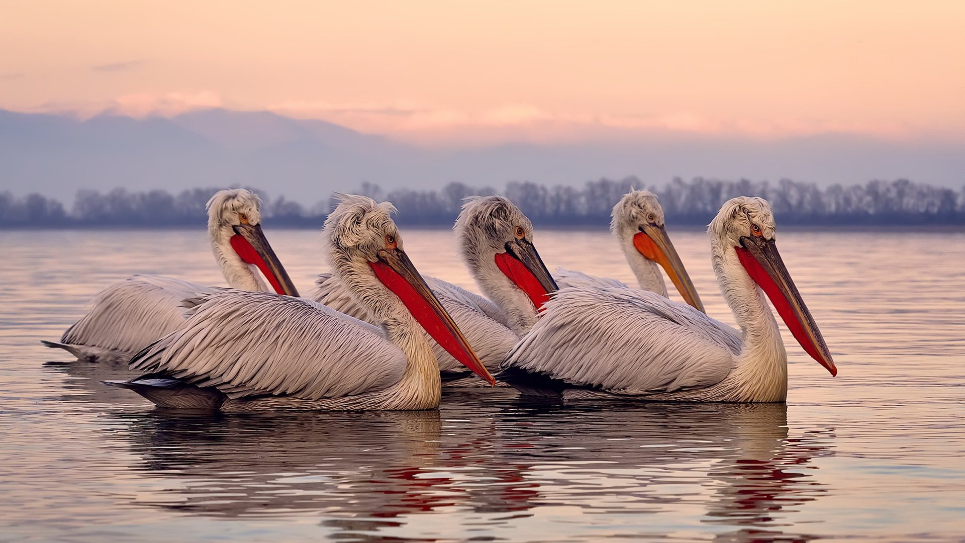 kaiyun开云·官方网站-纽伦堡客场不敌对手，排名有所下滑，纽伦堡市