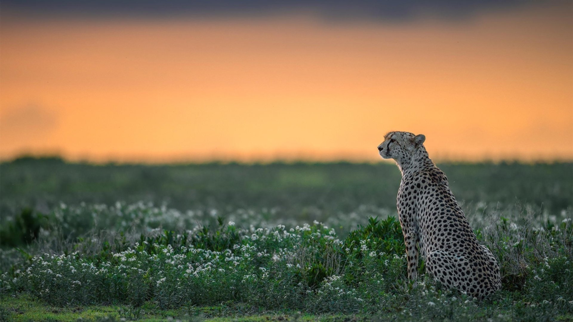 Kaiyun官方登录入口-联盟是否应设立球员创业扶持平台，球队联盟是什么意思