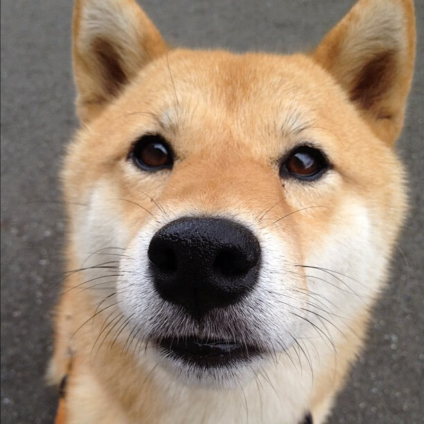 开云网页版登录入口-裁判资源是否集中在顶级联赛导致基层流失，裁判能力