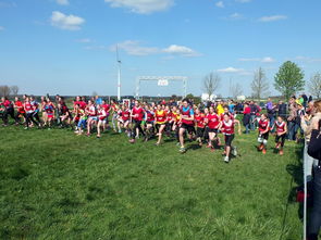 开云APP-青少年体育社交平台互动行为研究，青少年体育文化