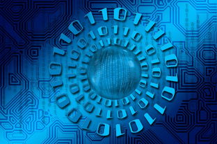 开云官方-大数据应用助力训练科学管理，大数据在训练管理中的应用