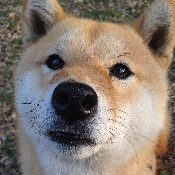 开云-比赛节奏对战术容错率是否有调节作用，如何控制比赛节奏