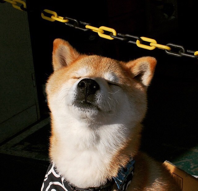 开云入口-防守反击球队是否以中场硬度弥补边路劣势，防守反击的球队