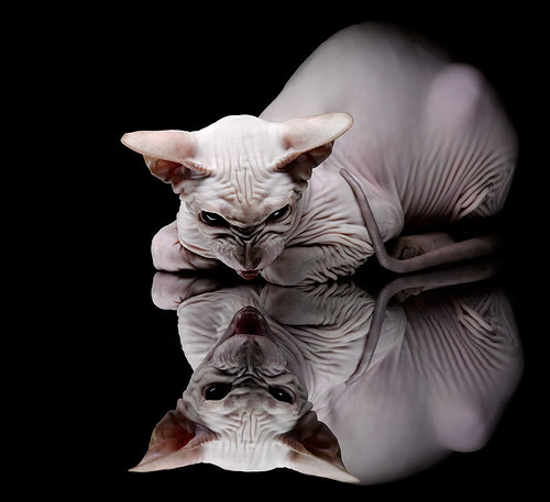 Kaiyun(中国)开云-2026世界杯赛场内外全面升级，智能化设施成亮点，2026年世界杯参赛队伍